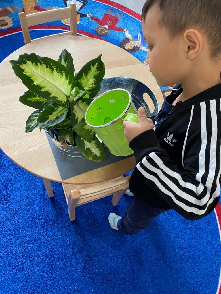 Roots Montessori Centre