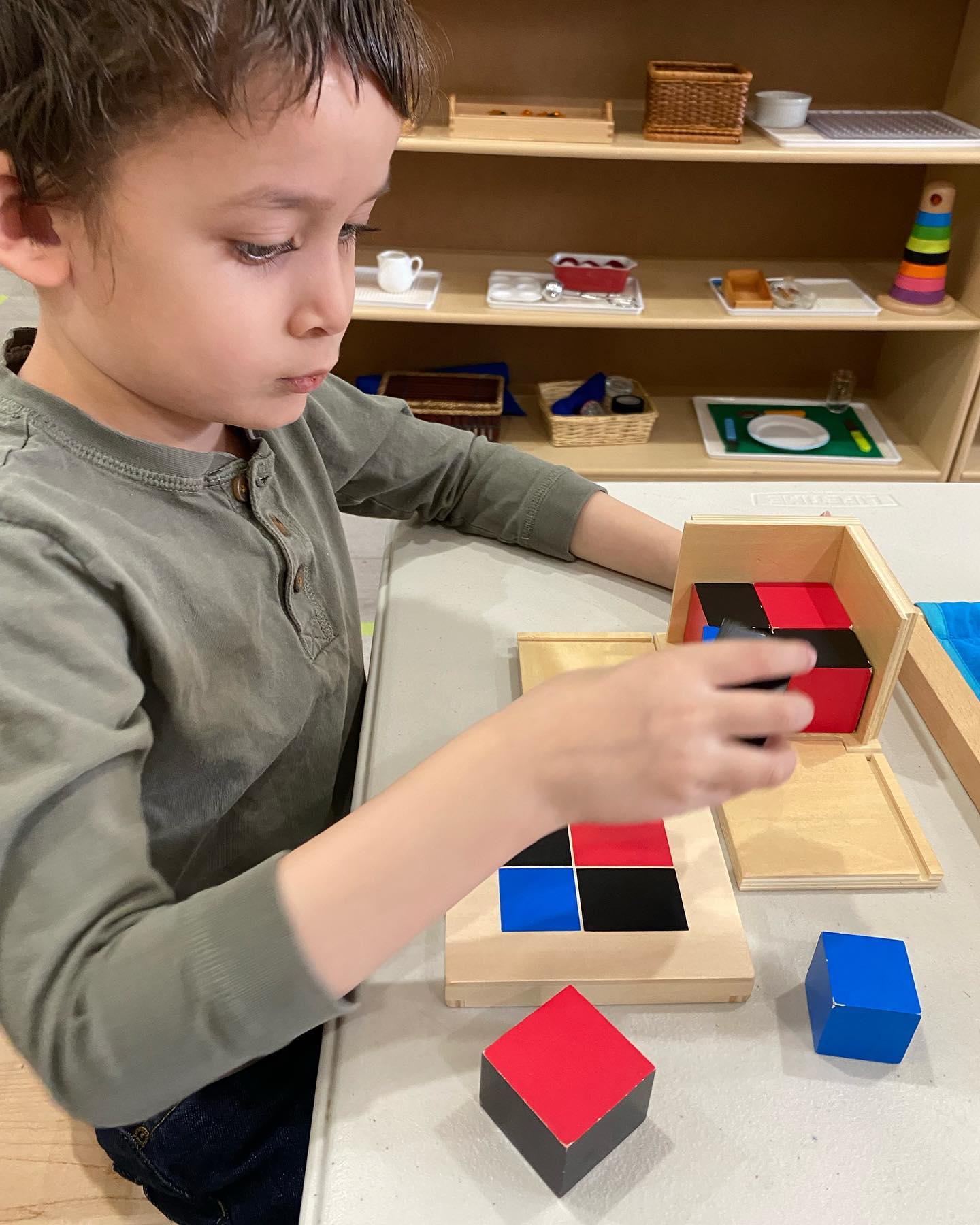 Roots Montessori Centre