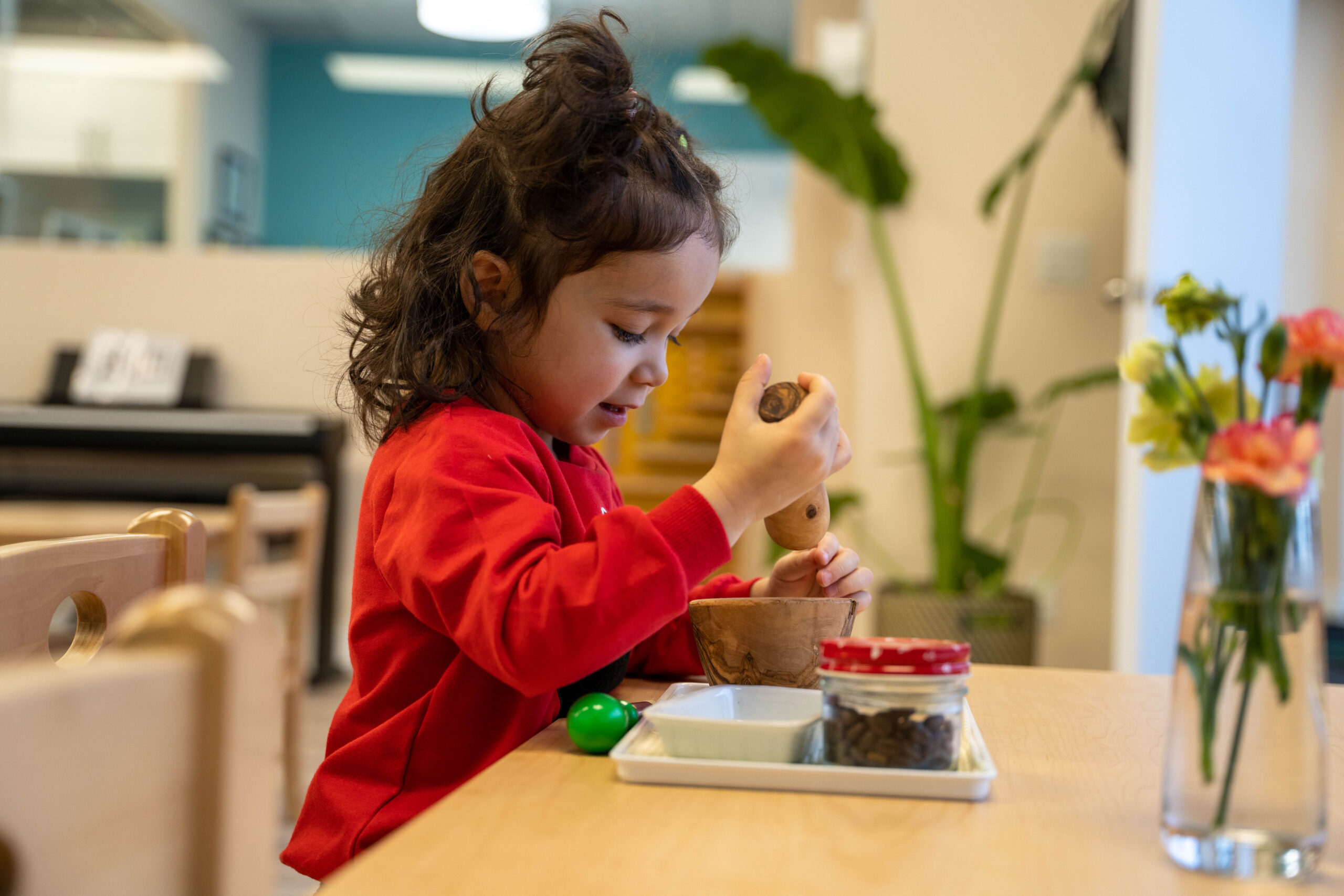 Roots Montessori Centre