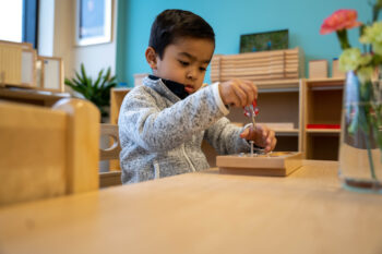 Roots Montessori Centre