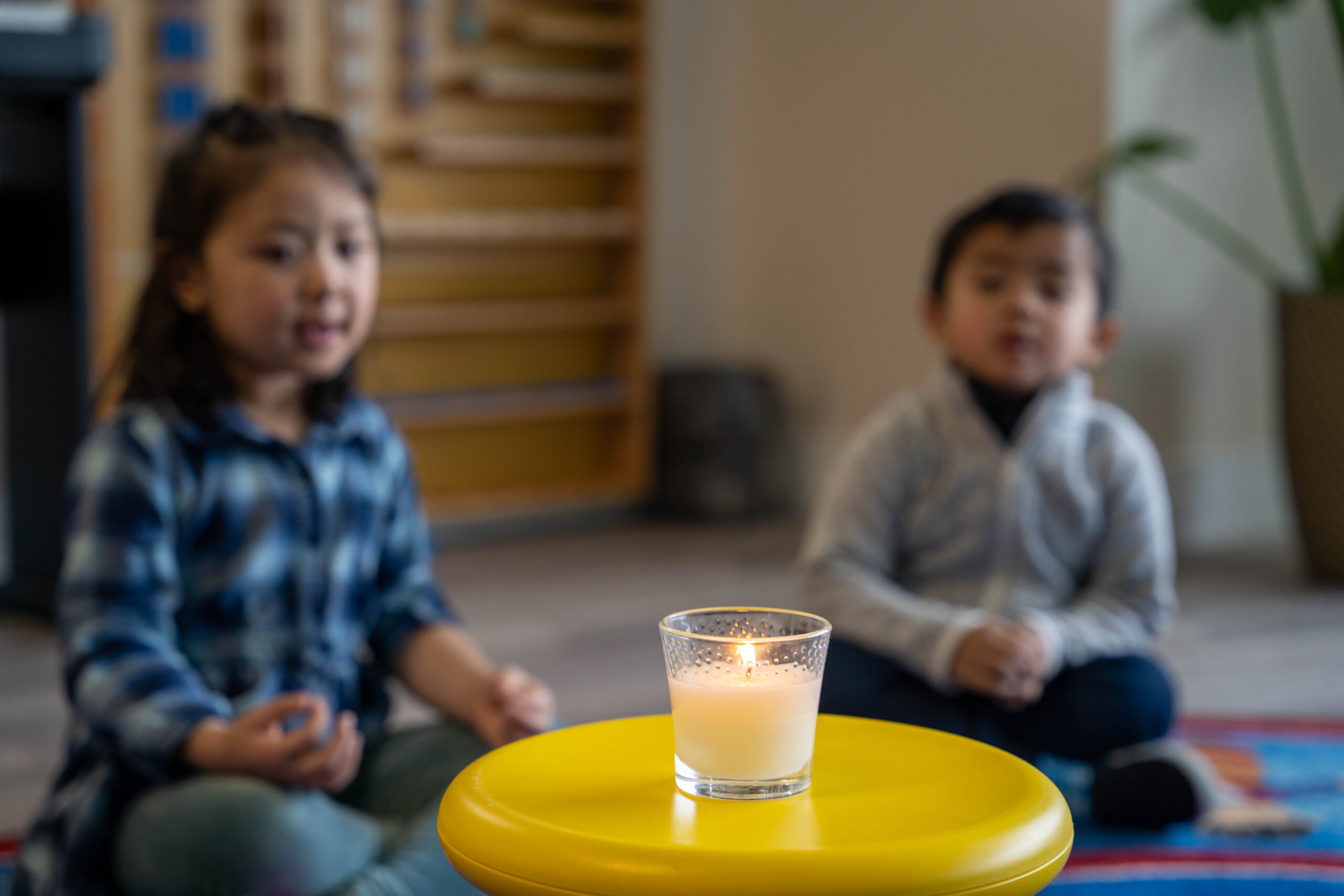 Roots Montessori Centre