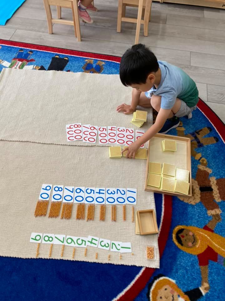 Roots Montessori Centre